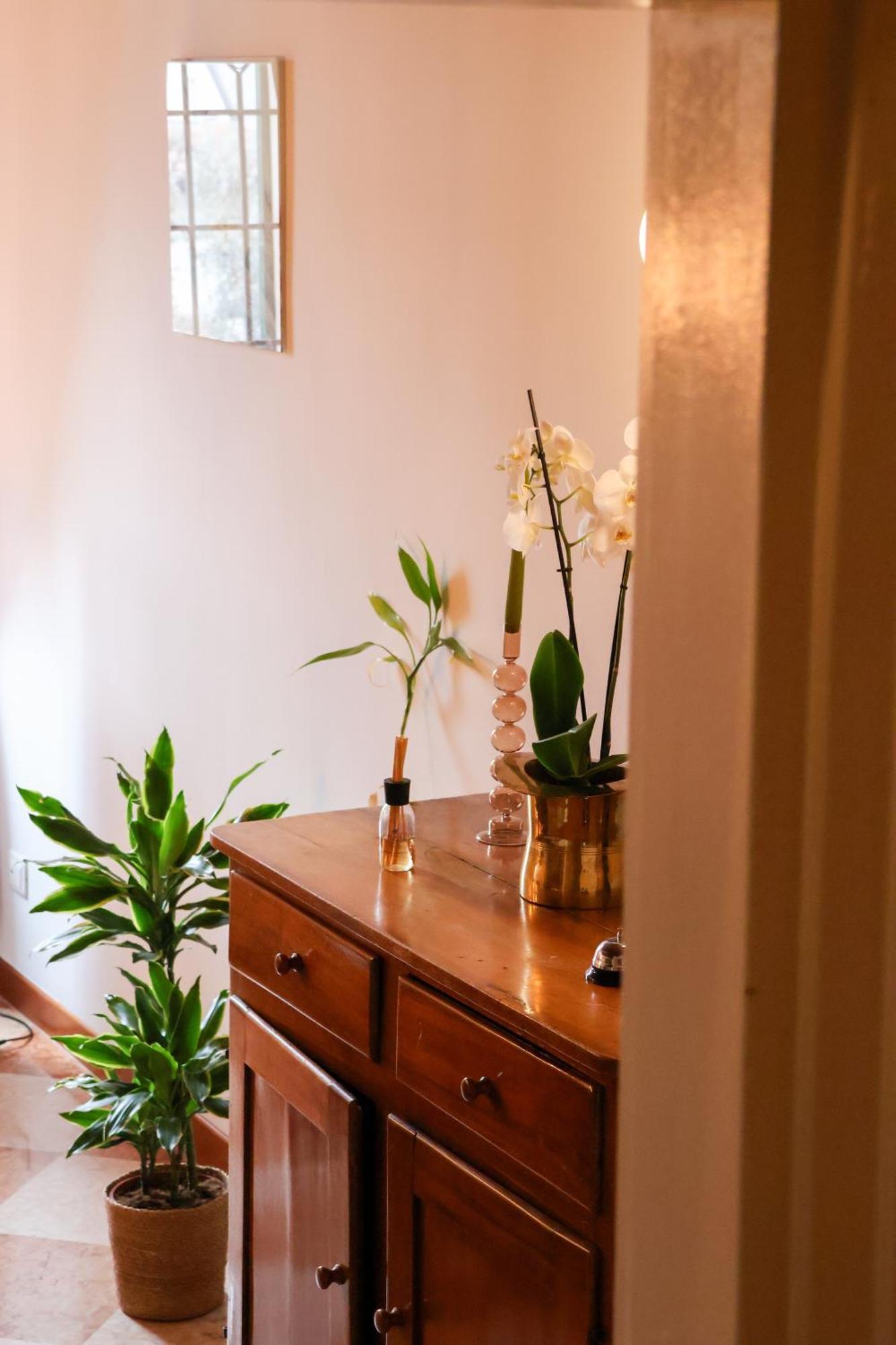 Aurelia Maison Apartment *