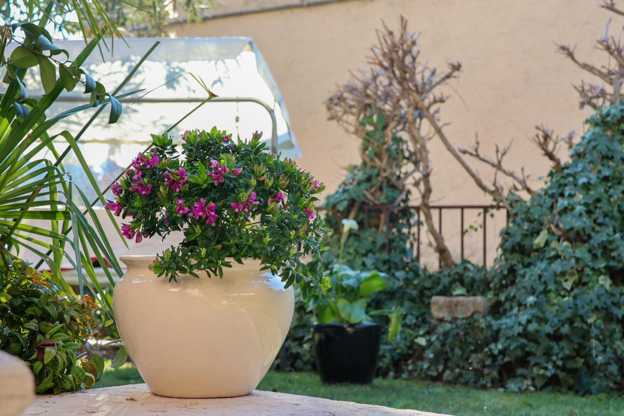 Aurelia Maison Appartamento